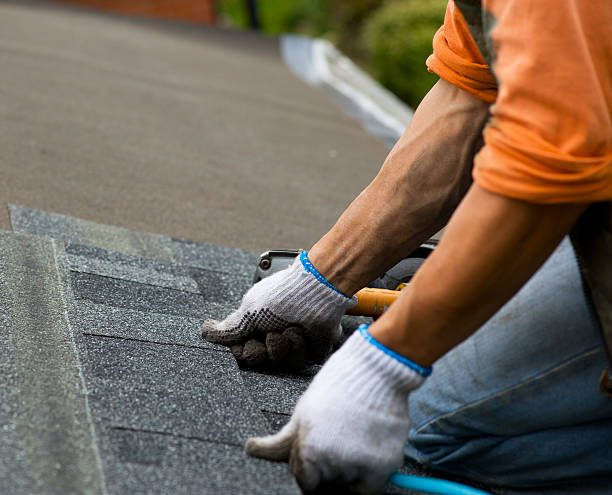 Best New Roof Installation  in Attica, MI